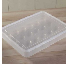 hộp nhựa đựng trứng 24 ô loại lớn