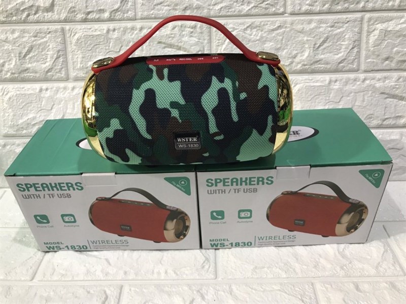 Loa bluetooth WS-1830