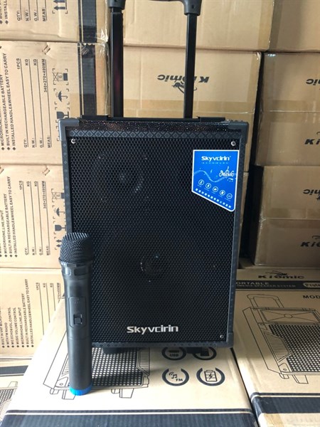 Loa kéo bluetooth Skyvcirin N908