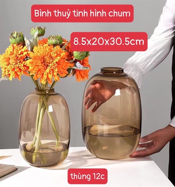 Bình hoa thuỷ tinh dạng chum mẫu cao cấp