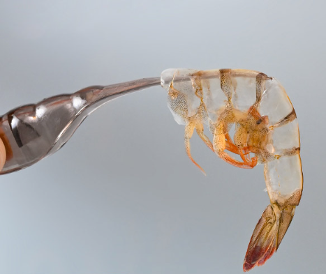 Dụng cụ lột vỏ tôm nhựa