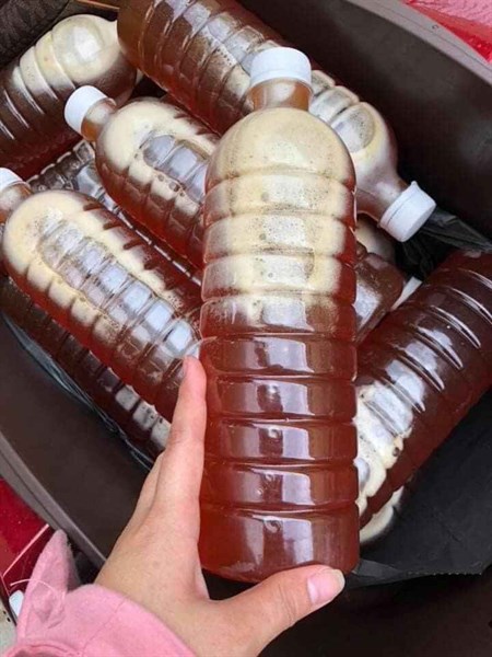 Mật ong hoa cà phê DakLak chai 1lit