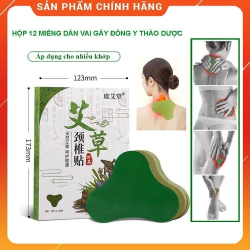 Hộp 12 Miếng Dán Vai Gáy Đông Y Thảo Dược