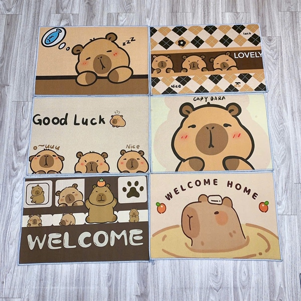 thảm lau chân kapy bara