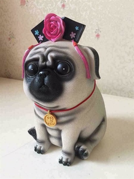 Chó đất cách cách tiết kiệm tiền