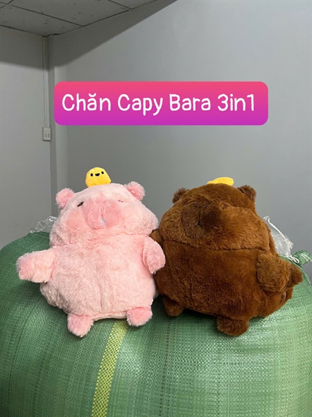 Bộ mền gối kapybara đáng yêu