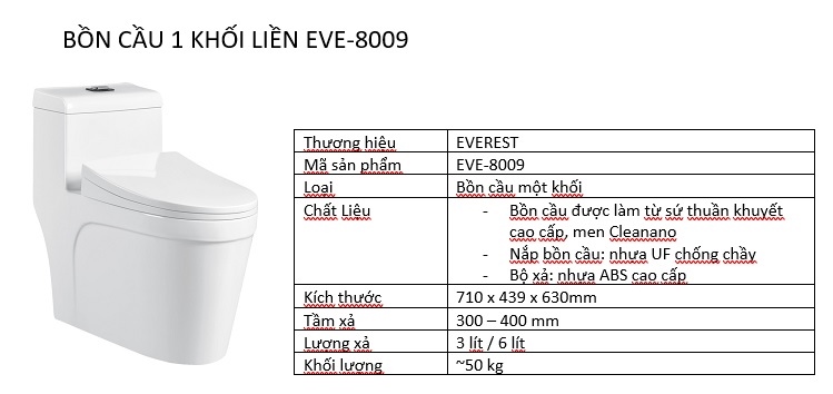 Bộ bàn cầu 1 khối liền Everest EVE-8009