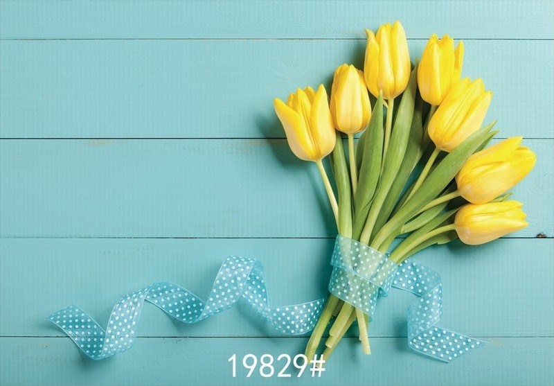 Phông chụp hình sản phẩm