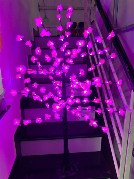 Cây đào led 1m2