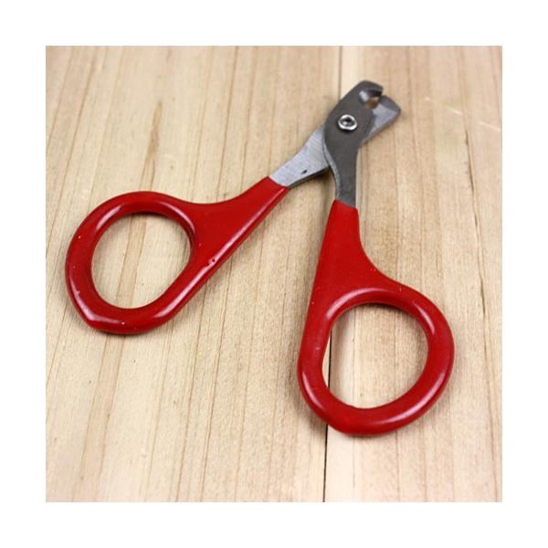 kéo làm móng cho thú cưng