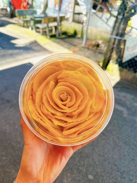 Xoài sấy dẻo hũ 600g