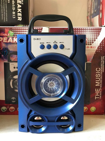 Loa bluetooth D-B13