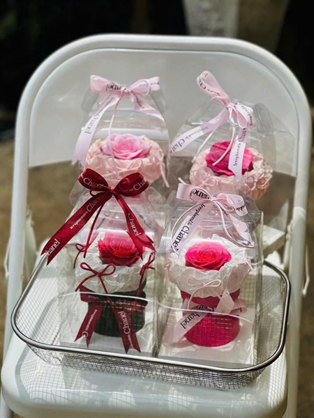 Hoa hồng sáp hộp trong suốt siêu cute