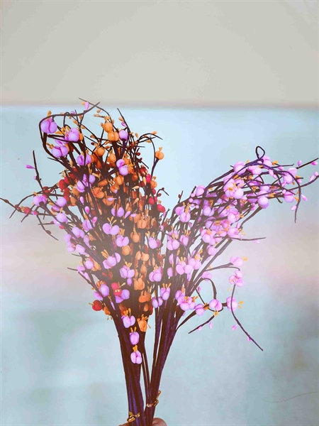 cành nụ tầm xuân trang trí tết