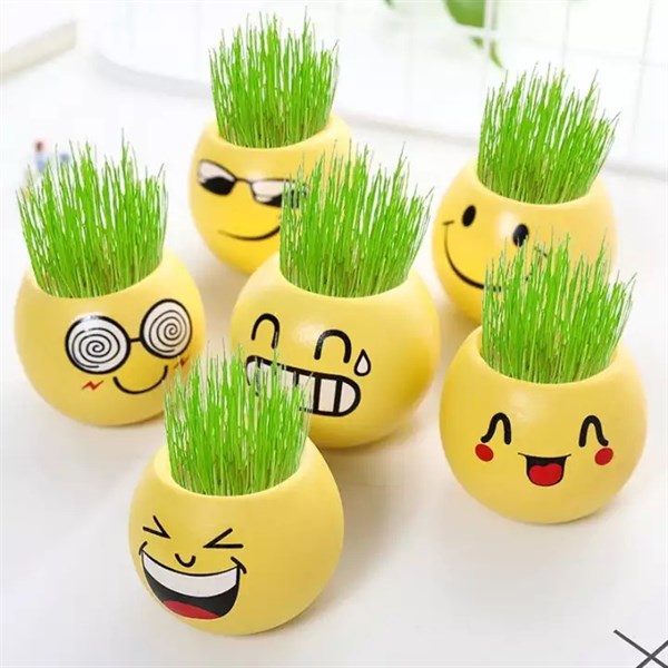 chậu trồng cây mặt cười mini văn phòng