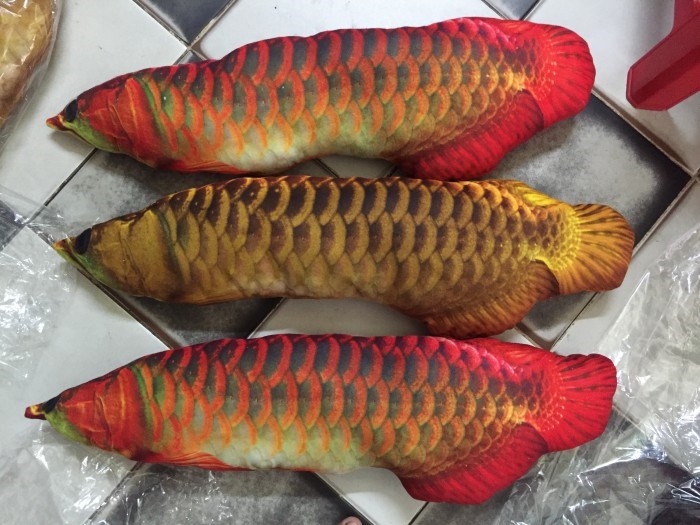 GỐI 3D HÌNH CÁ RỒNG