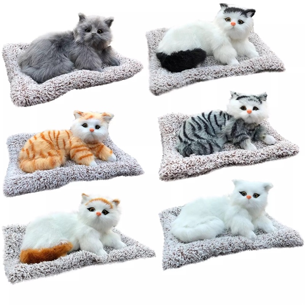 Thú chưng taplo xe hơi có hút ẩm bằng than hoạt tính