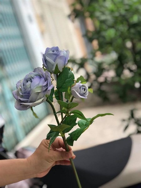 cành hoa hồng vải 3 bông