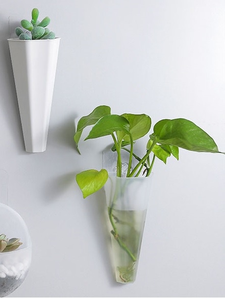 chậu nhựa trồng cây treo tường trong nhà