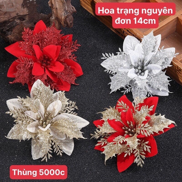 Hoa trạng nguyên trang trí gói quà, làm bình bông