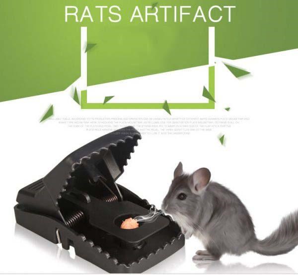 Bẫy chuột tự động