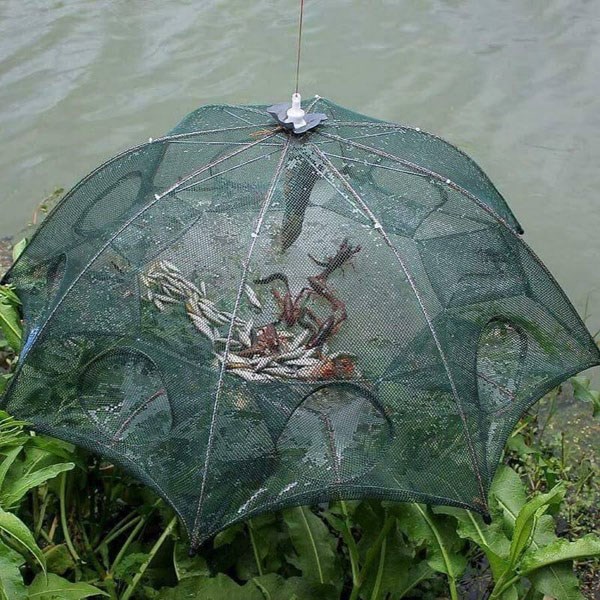 lưới bắt cá bát quái