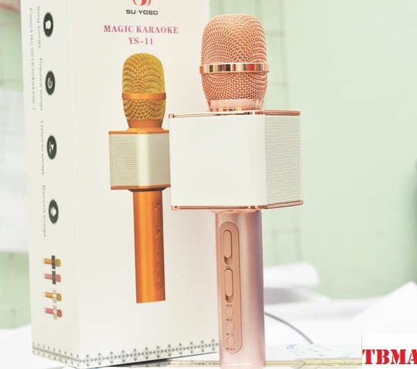 Micro Karaoke YS-11