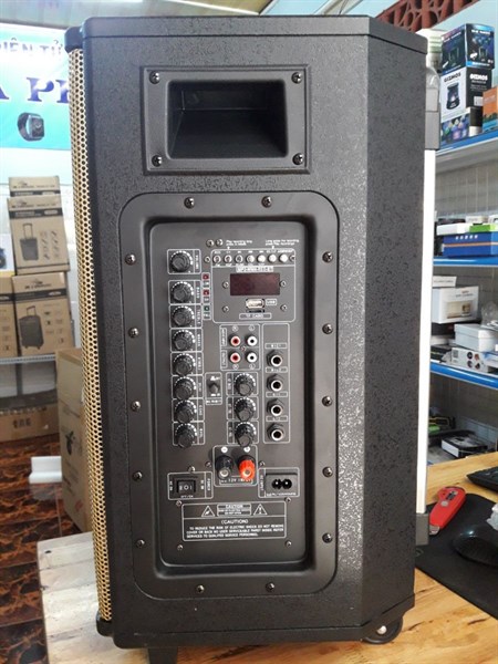 Loa kéo cao cấp Kiomic K310 - 2 mic